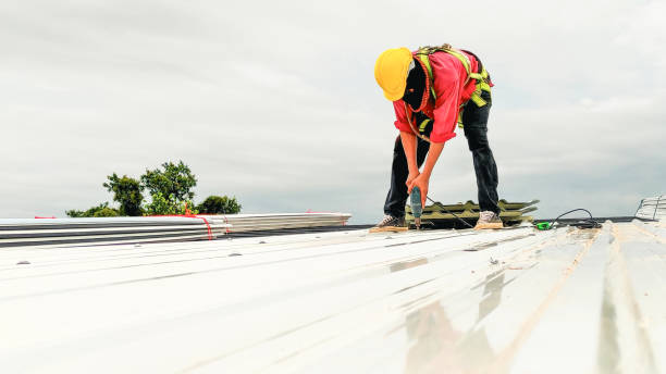 Best Roof Moss and Algae Removal  in Columbus Junction, IA